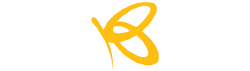 Flutterwave Company Logo